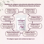 MULTICOLLAGEN PEPTIDES POLVO