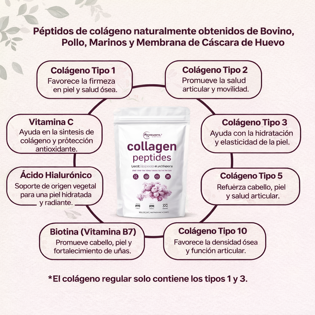 MULTICOLLAGEN PEPTIDES POLVO